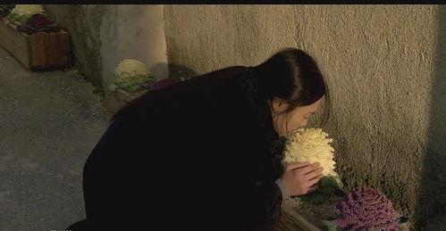 恋爱脑痊愈后暴虐前夫一家,前夫一家遭遇复仇风暴