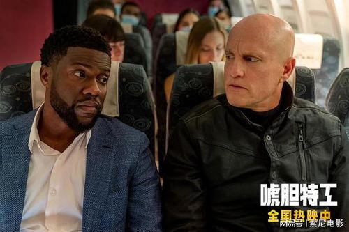 唬胆特工,揭秘特工世界的惊险与智慧