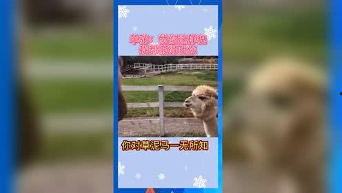 吃瓜娱乐周边